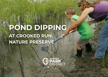 young boy and his mother dip a net into the pond